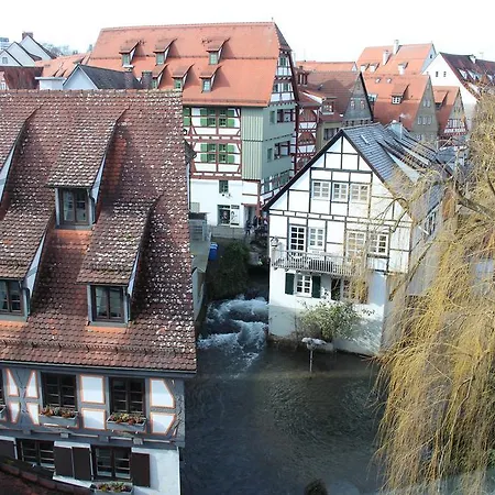 Schmales Haus אולם