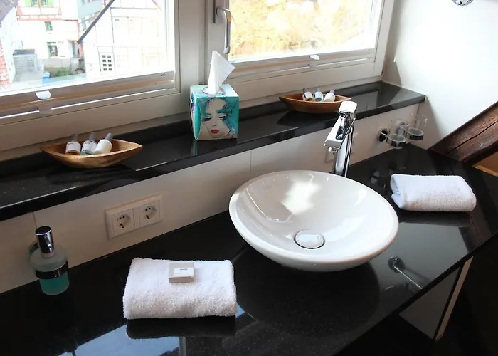 מלון Schmales Haus אולם