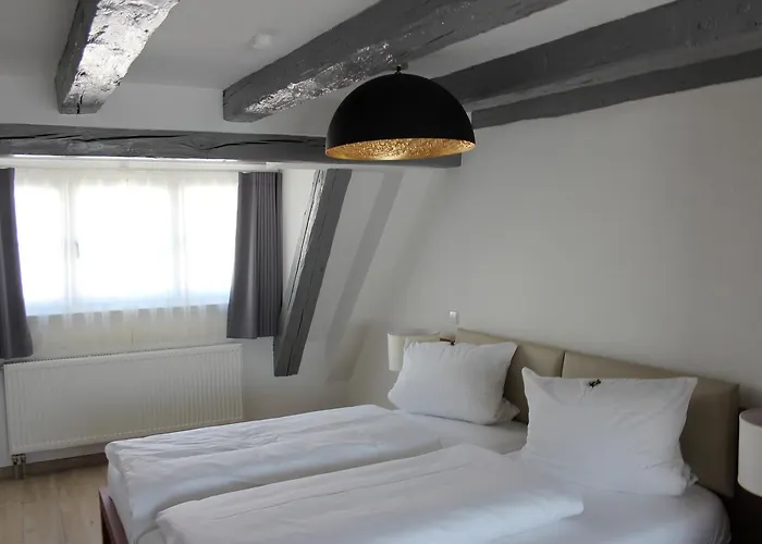 Schmales Haus מלון 2*