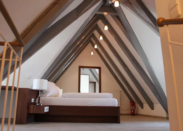 Schmales Haus Ξενοδοχείο Ουλμ